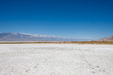 aridlands4